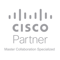 Master Collab Sp-01