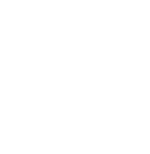 NSI Dove Only-01