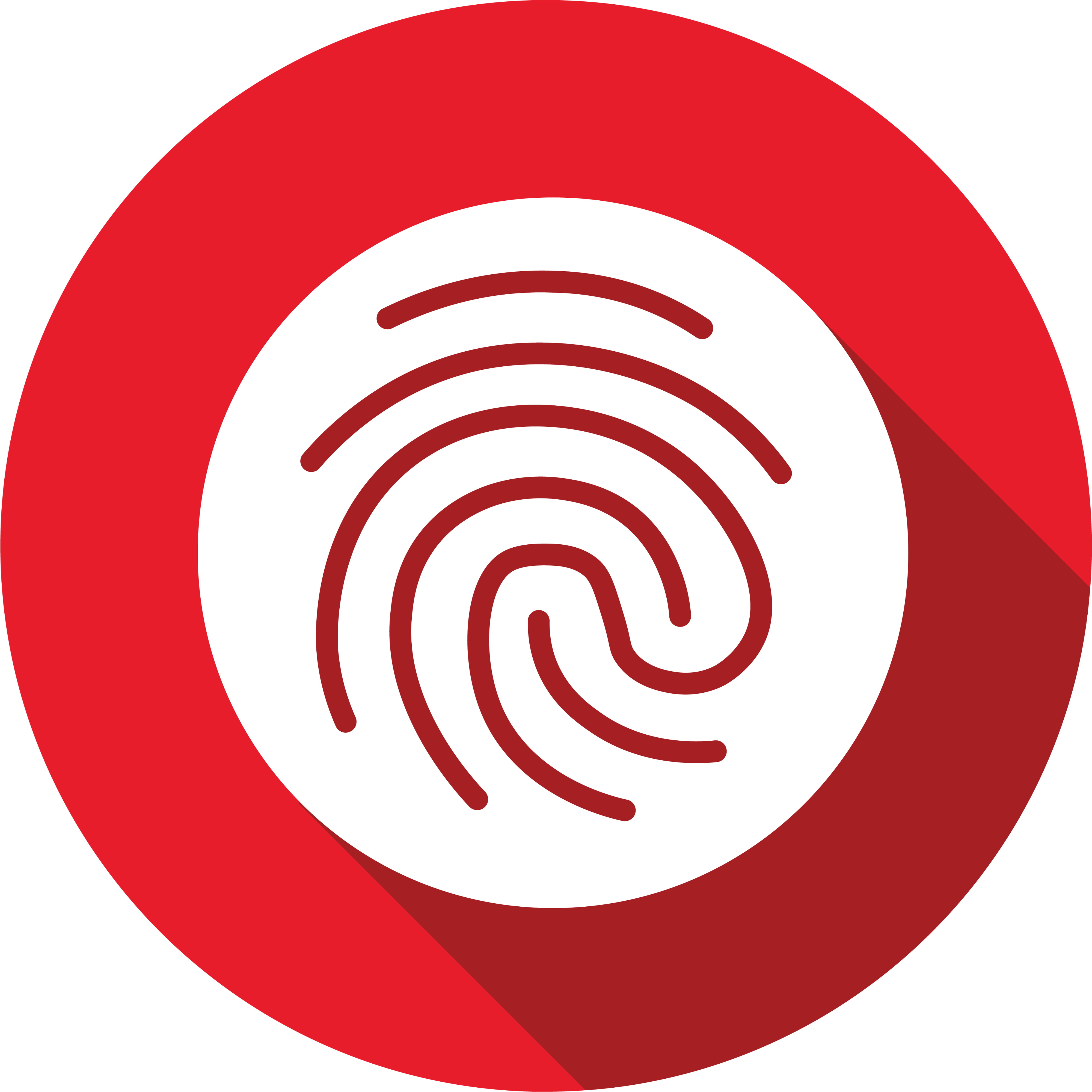 IT Security Services | Network Access Control